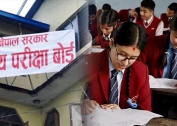 Preparation for SEE completes