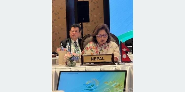 BIMSTEC should uphold spirit of regional unity and collective cooperation: Minister Dr Rana