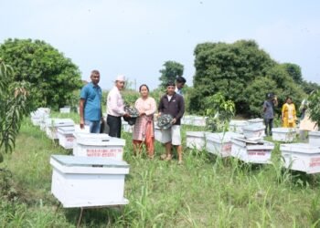 532 beehives distributed to farmers in Sarlahi