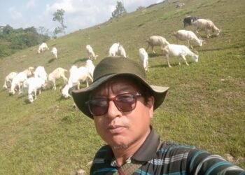 Farmer making ‘good’ income producing cheese from goat milk