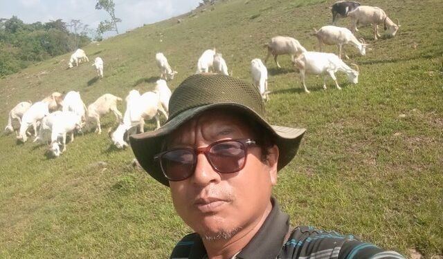 Farmer making ‘good’ income producing cheese from goat milk