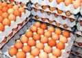 Price of eggs increased