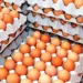 Price of eggs increased