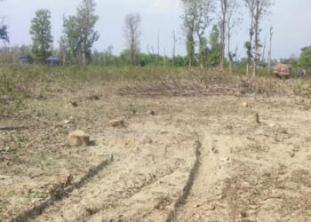 Construction of dry port gains pace in Dodhara Chandani