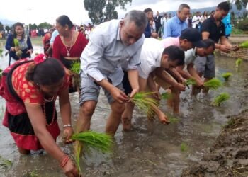 Government committed to promoting agricultural production: Minister Adhikari