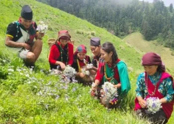 Bhume festival being celebrated today