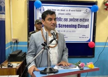 We will provide free treatment for Type 1 Diabetes: Health Minister