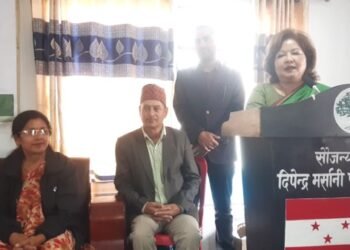 Personal matters should not influence party organisation: Arzu Deuba