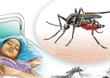 Surkhet records more dengue patients