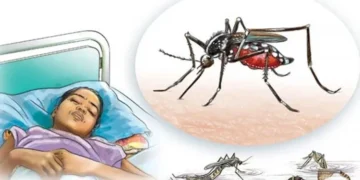 Surkhet records more dengue patients