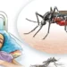 Surkhet records more dengue patients