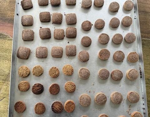 Industry established to manufacture millet biscuits