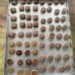 Industry established to manufacture millet biscuits