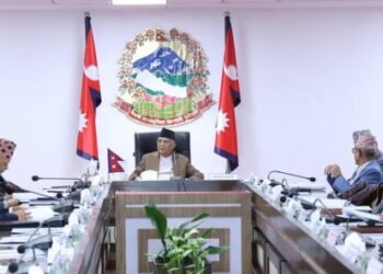 A decade of constitution to be observed in grand manner; PM Oli leads main celebration committee