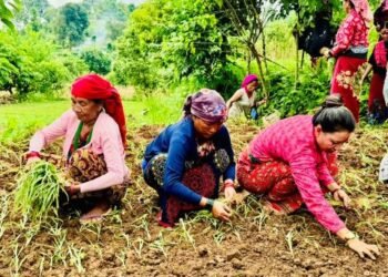 First National Millet Day observed