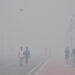 Thick, hazardous smog blankets New Delhi after Diwali fireworks