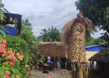 Production of maize increases in Tanahun