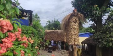 Production of maize increases in Tanahun