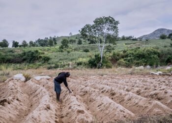 As world leaders enter climate talks, people in poverty have the most at stake