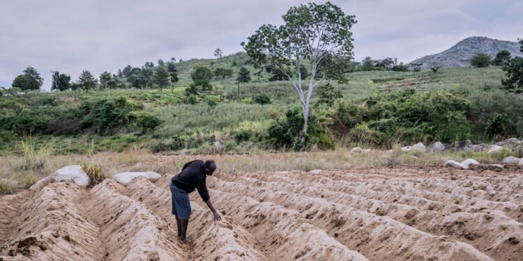 As world leaders enter climate talks, people in poverty have the most at stake