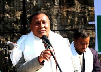 Nation will move forward in a new vein: Minister Ghising