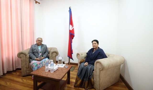 Prime Minister Karki and former President Bhandari meet