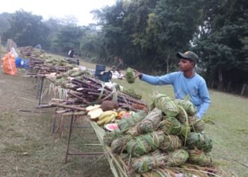 Final day of Elephant Festival in Sauraha today