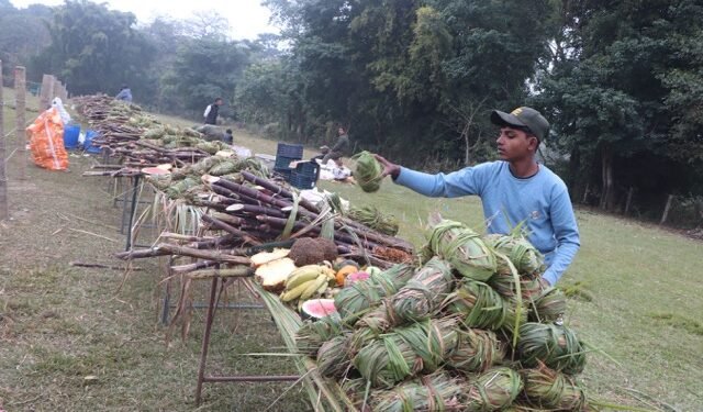 Final day of Elephant Festival in Sauraha today