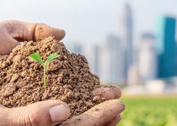 International Volunteer Day today