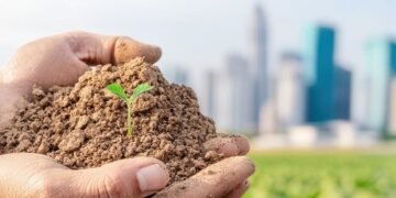 International Volunteer Day today