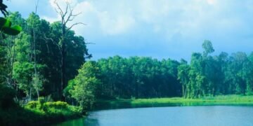 Betana wetland turning into tourism destination