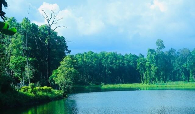 Betana wetland turning into tourism destination