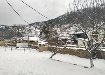 Snowfall affects life in Humla
