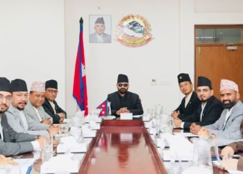 Government to form High-powered Property Investigation Committee within 15 days