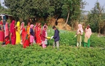 Siraha farmers bracing for resilience through climate-friendly agriculture