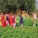 Siraha farmers bracing for resilience through climate-friendly agriculture