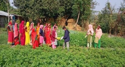 Siraha farmers bracing for resilience through climate-friendly agriculture
