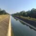 Sikta Irrigation Project’s western main canal not friendly to wildlife