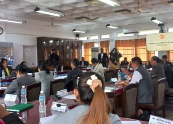 MPs stress on diplomatic efforts to tackle Lipulek issues
