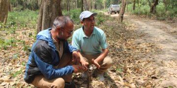 Artificial smell technology being used to reduce human-wildlife conflict