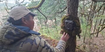 Camera trapping to identify condition of endangered red panda in Dhaulagiri