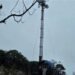 4G service begins at Pathivara Temple