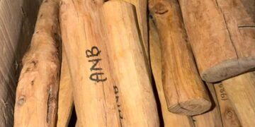 Indian Home Minister Shah provides 40 kg of sandalwood to Nepal