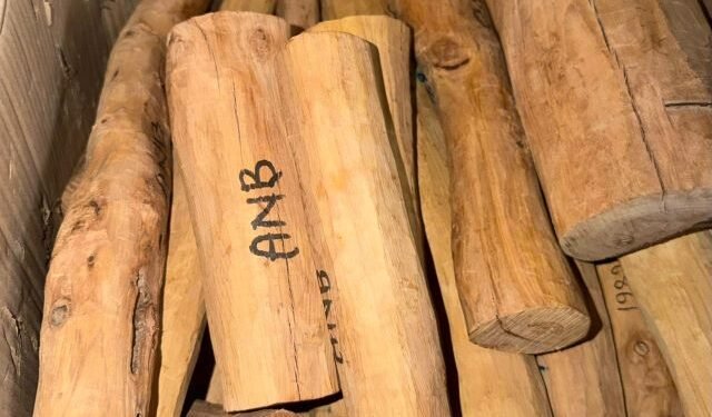 Indian Home Minister Shah provides 40 kg of sandalwood to Nepal
