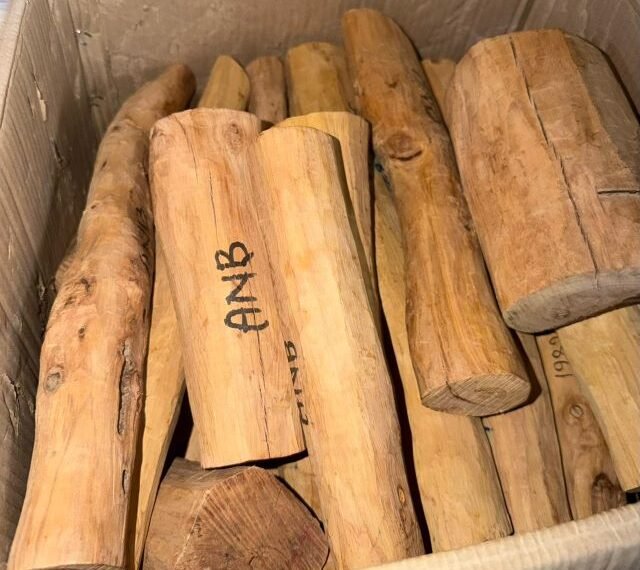 Indian Home Minister Shah provides 40 kg of sandalwood to Nepal