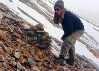 56 cameras installed for snow leopard counting in Dhorpatan