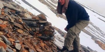 56 cameras installed for snow leopard counting in Dhorpatan