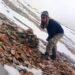 56 cameras installed for snow leopard counting in Dhorpatan