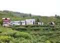 Lwang village: Where emerald tea gardens meet snow-capped mountains