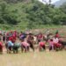 23rd National Paddy Day being observed